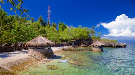 The Ultimate Travel Guide to Toledo City Cebu .